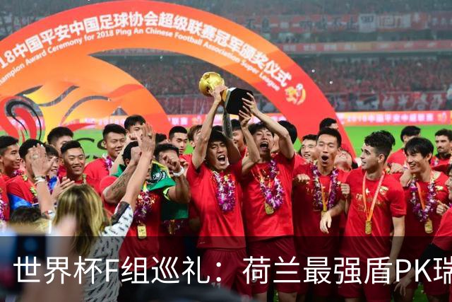 世界杯F组巡礼：荷兰最强盾PK瑞典犀利刀 日本短板明显